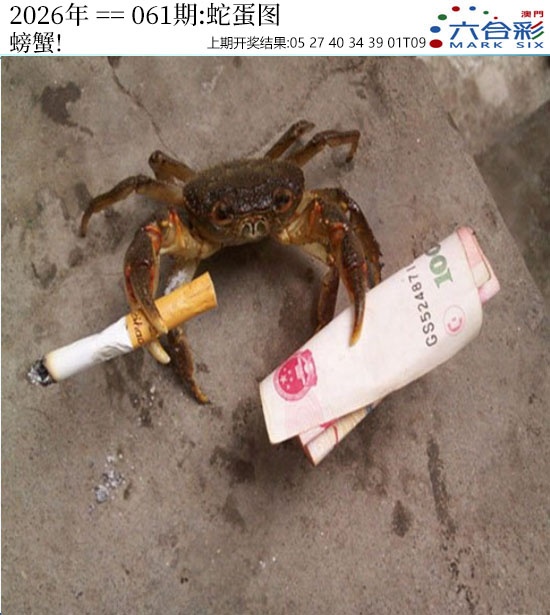 061期正版蛇蛋图[图]