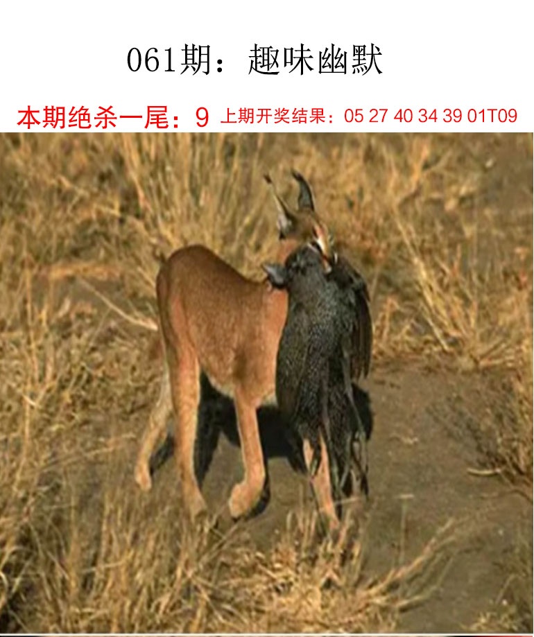 061期趣味幽默[图]