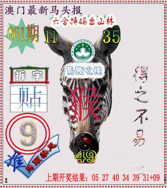 061期马头报[图]