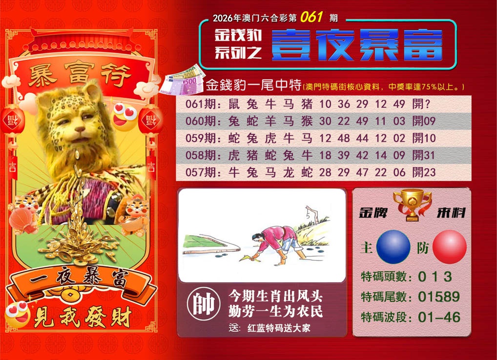 061期一夜暴富[图]
