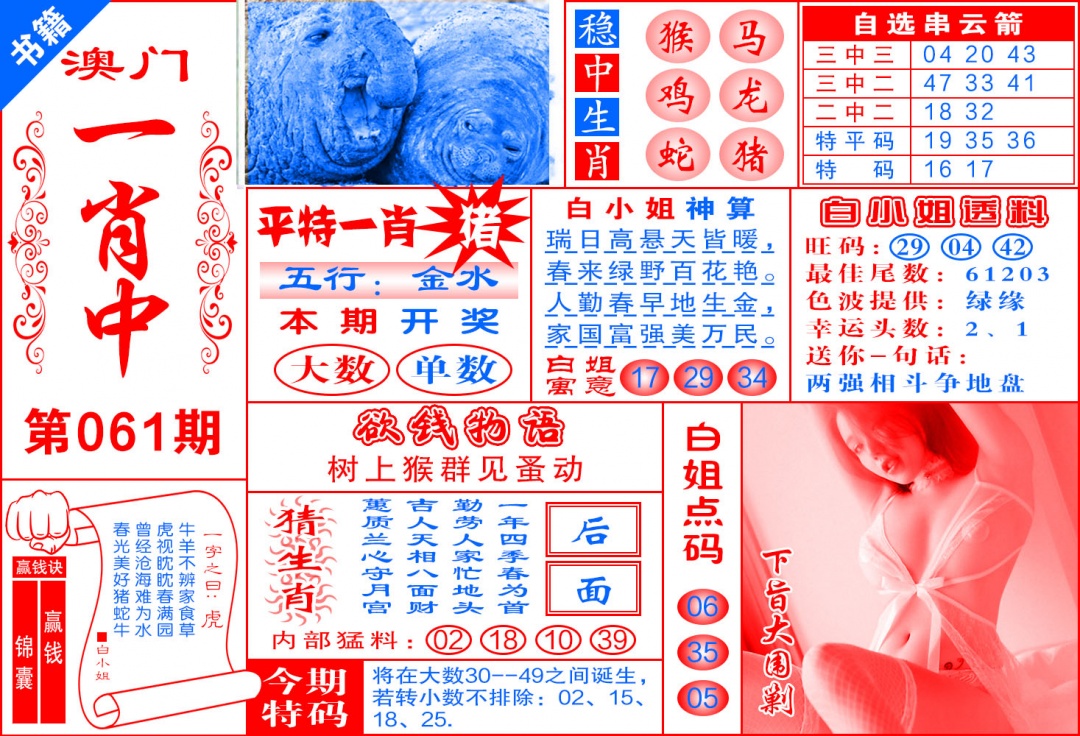 061期澳门锦囊宝典[图]