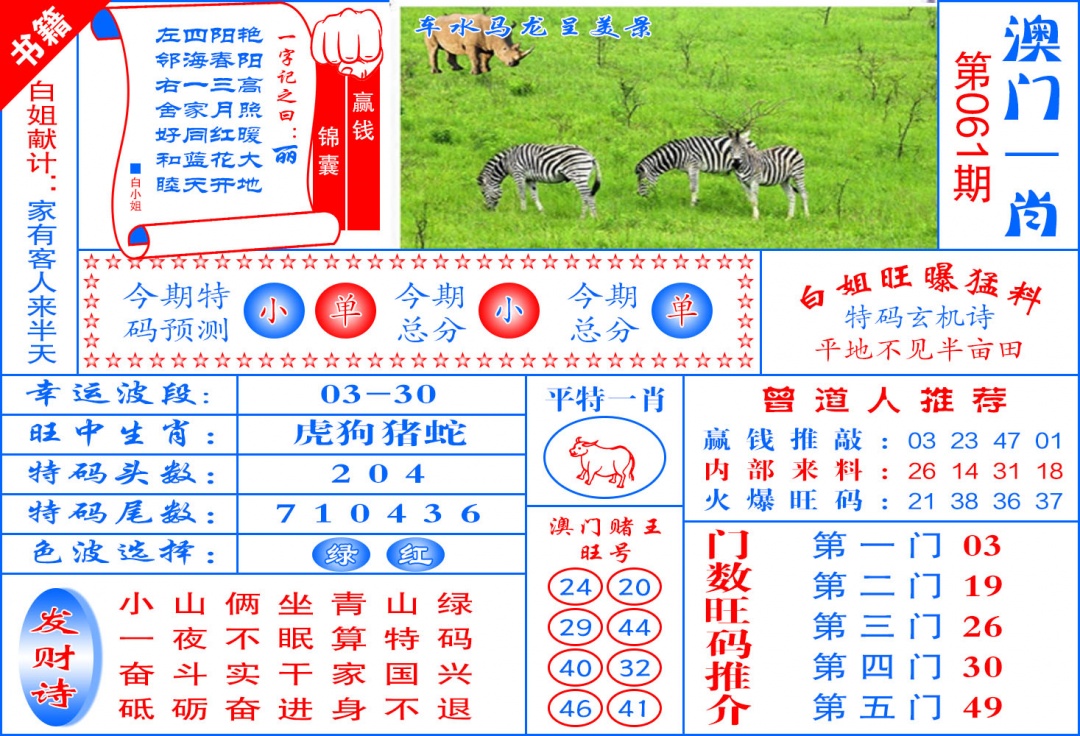 061期澳门东北虎[图]