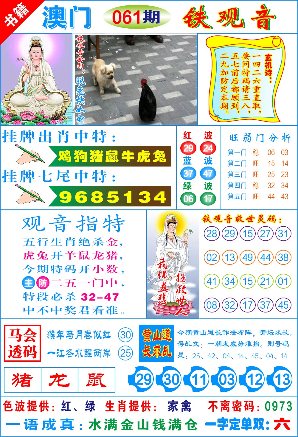 061期澳门铁观音[图]