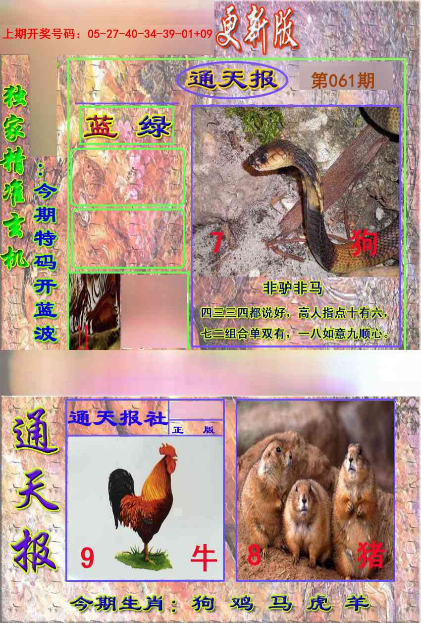 061期新通报[图]