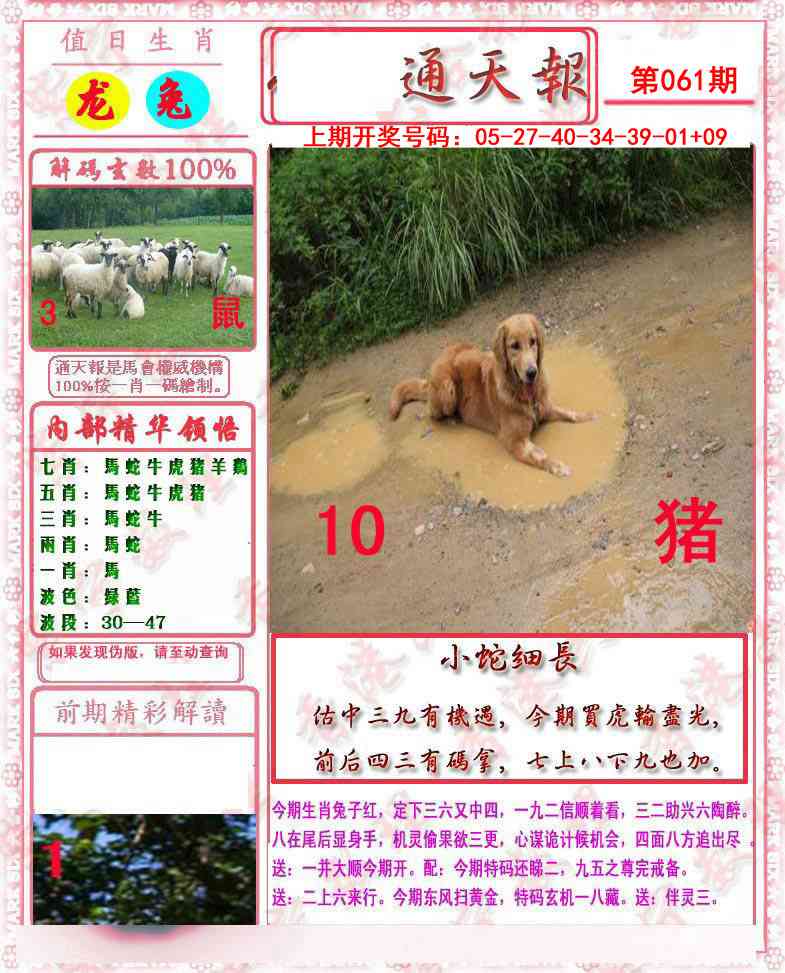 061期马经通天报[图]