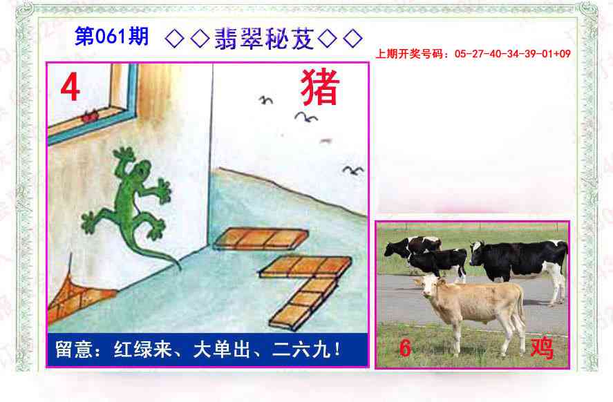 061期翡翠报[图]