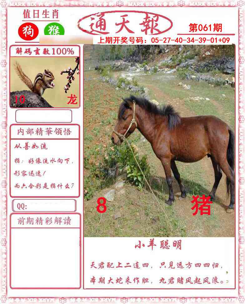 061期正版通天报[图]
