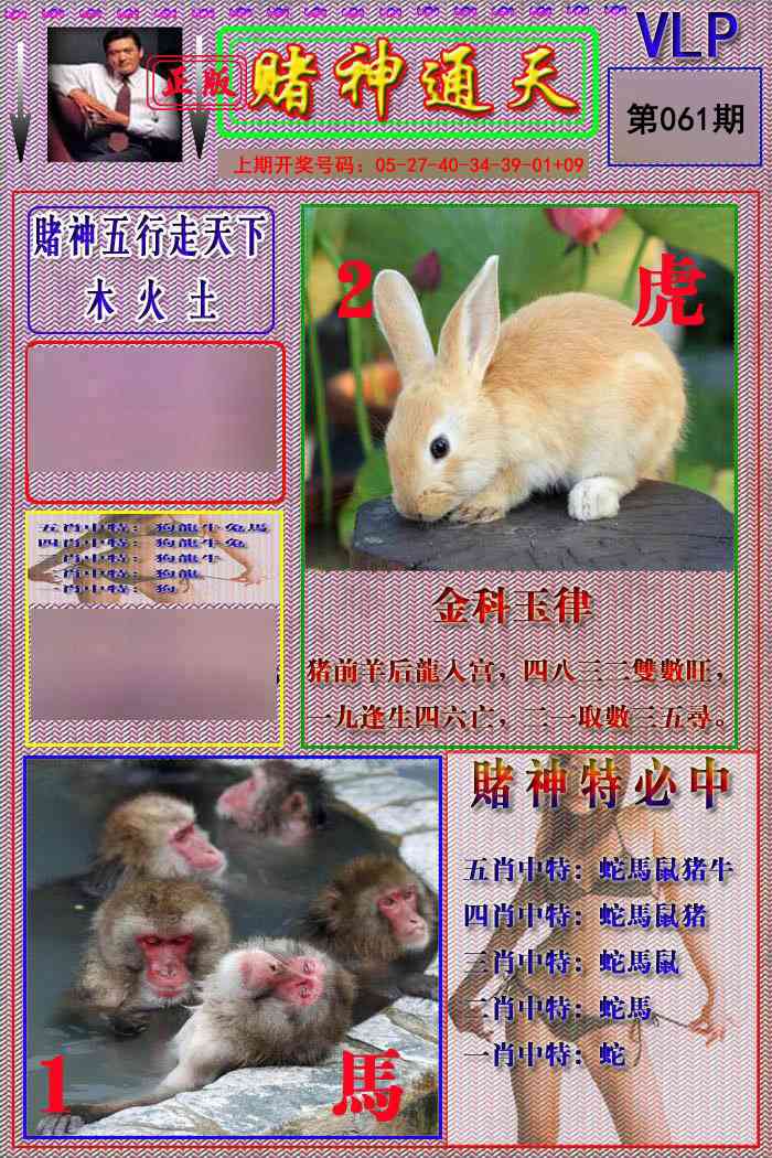 061期赌神通天报[图]