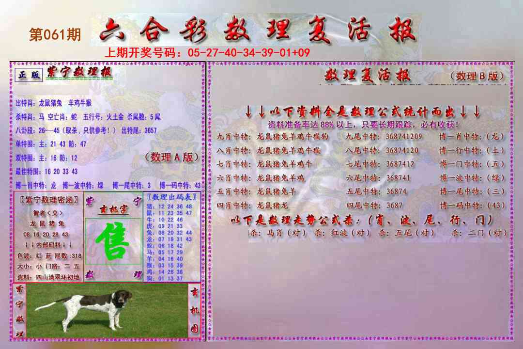 061期数理复活报[图]