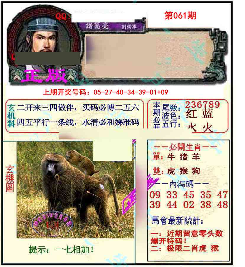 061期正宗孔明[图]