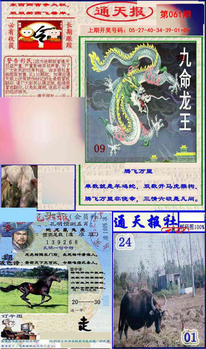 061期实力通天报[图]