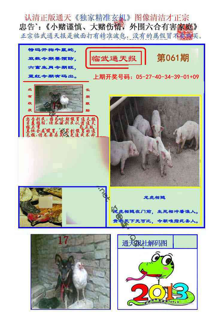061期临武通天报[图]