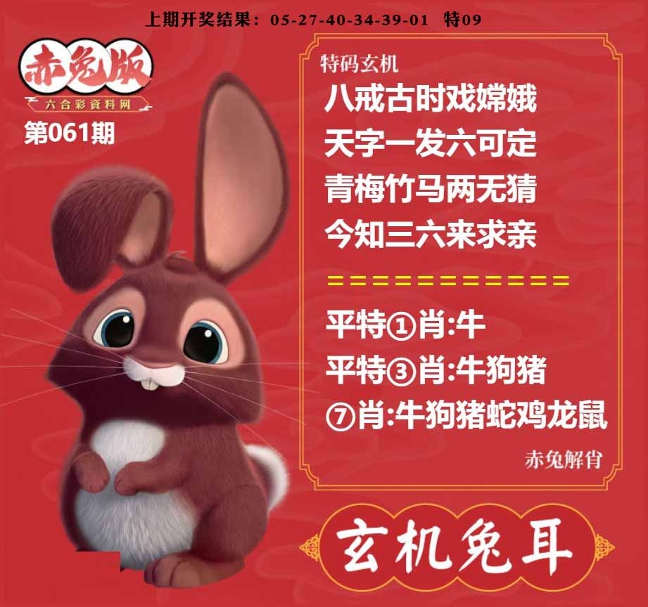 061期玄机兔耳[图]