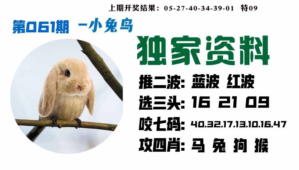 061期小兔鸟[图]